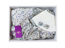 シルバースターシリーズ