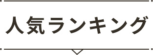 人気ランキング