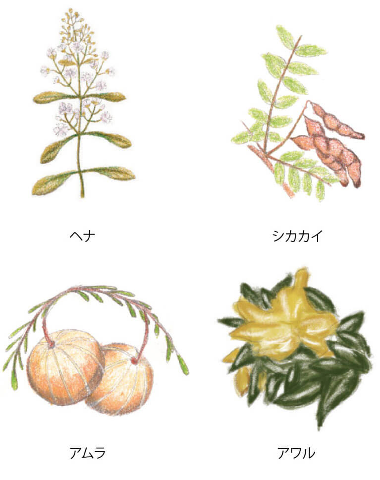 NATURALCOSMO（ナチュラルコスモ）