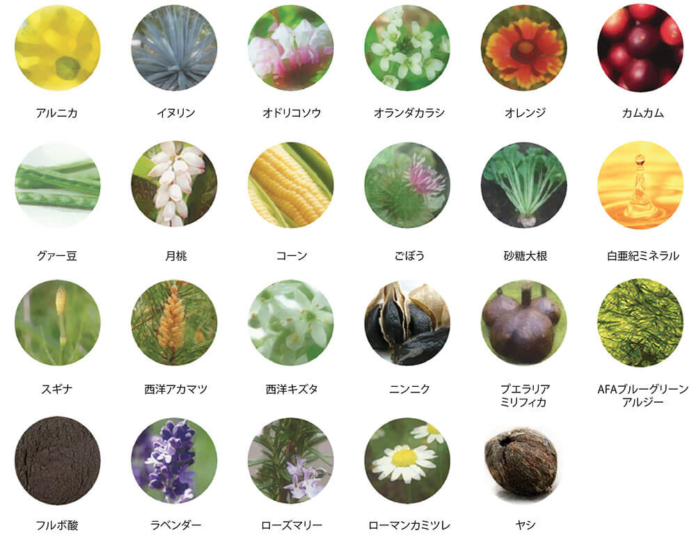 NATURALCOSMO（ナチュラルコスモ）