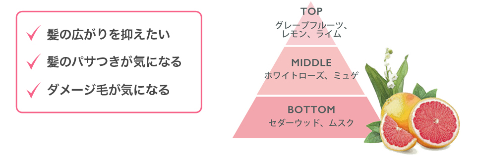 クレージュ crayge