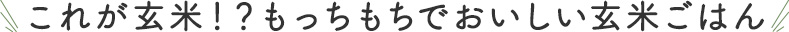 これが玄米！？もっちもちでおいしい玄米ごはん