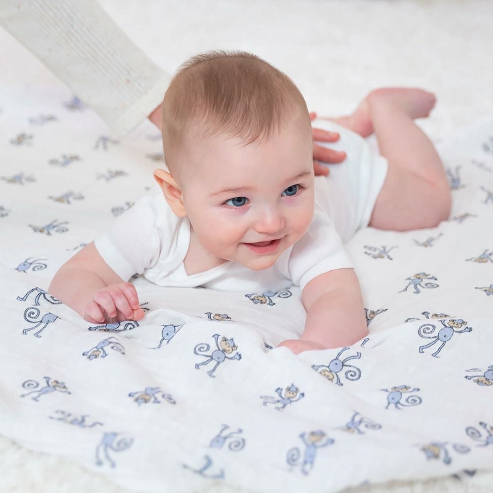 aden+anais（エイデンアンドアネイ）【日本正規品】モスリンコットン