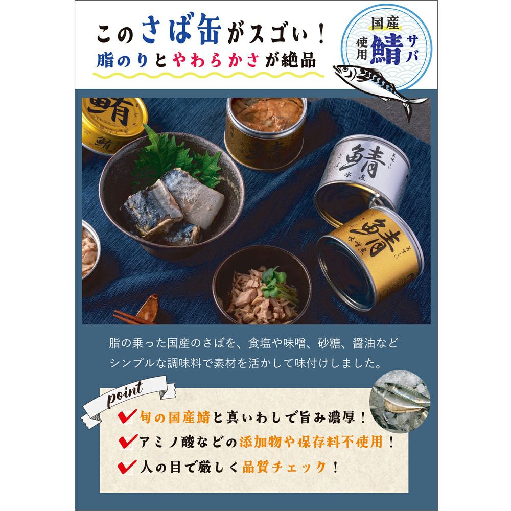 加工食品 美味しい鯖缶 サバ缶 味噌煮(2ケース48缶) 伊藤食品 国産