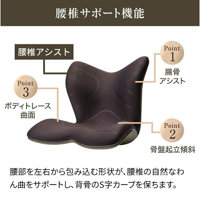 MTG スタイルプレミアム（Style Premium）ブラウン Style（スタイル） スタイルプレミアム ブラウン | Amingオンライン