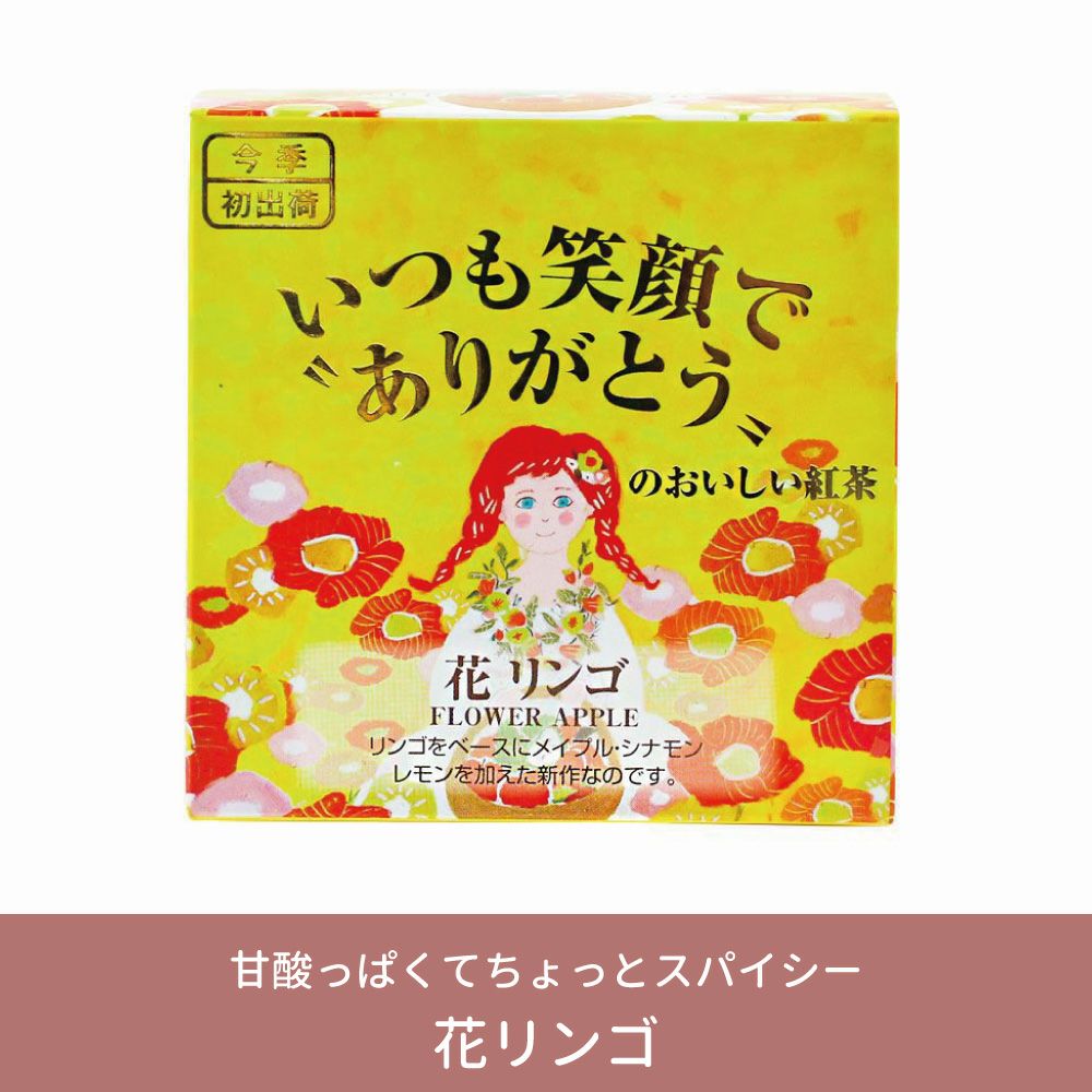 MLESNA TEA（ムレスナティー） 選べる1フレーバー＆クッキーのセット