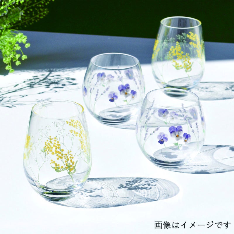 hanafumi ペアタンブラー(ミモザ・かすみ草柄)