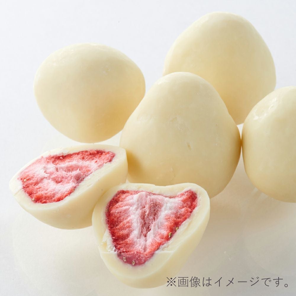 CERFEUIL（セルフィユ） いちご白トリュフ 5粒 | Amingオンラインショップ