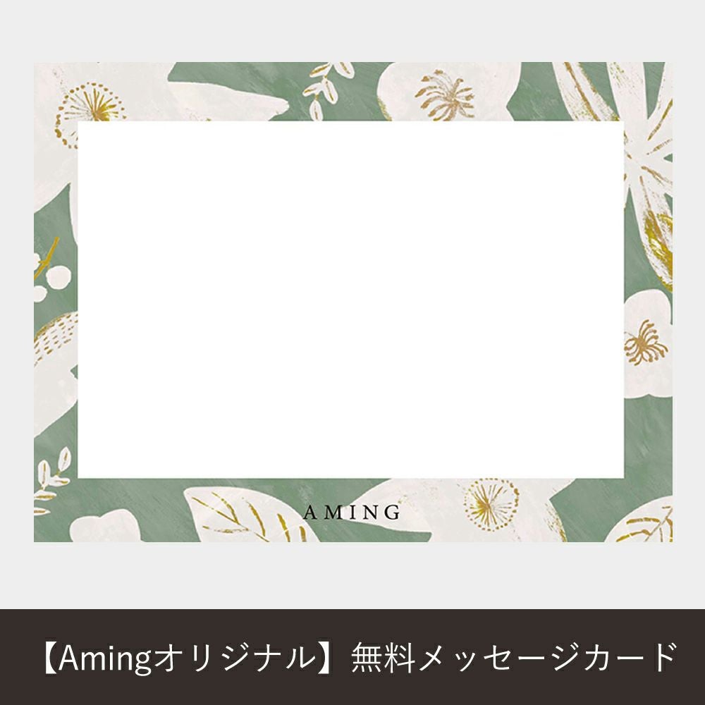 ♡コメントから購入→送料無料！♡ パンキュート フラワーアーチレース ブラセット ABCDEF 下厚パッド