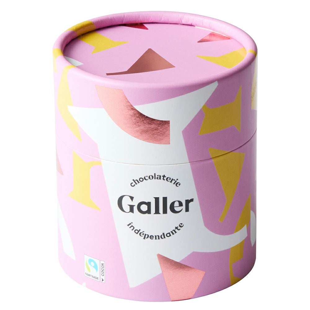 Galler（ガレー） ナノバー ミルク&ダークプラリネ 10個入 | Aming