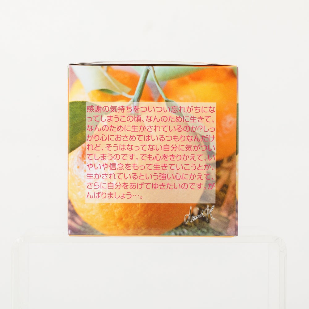 MLESNA TEA（ムレスナティー）INDIVI 王妃様の宝石箱 ティーカップ