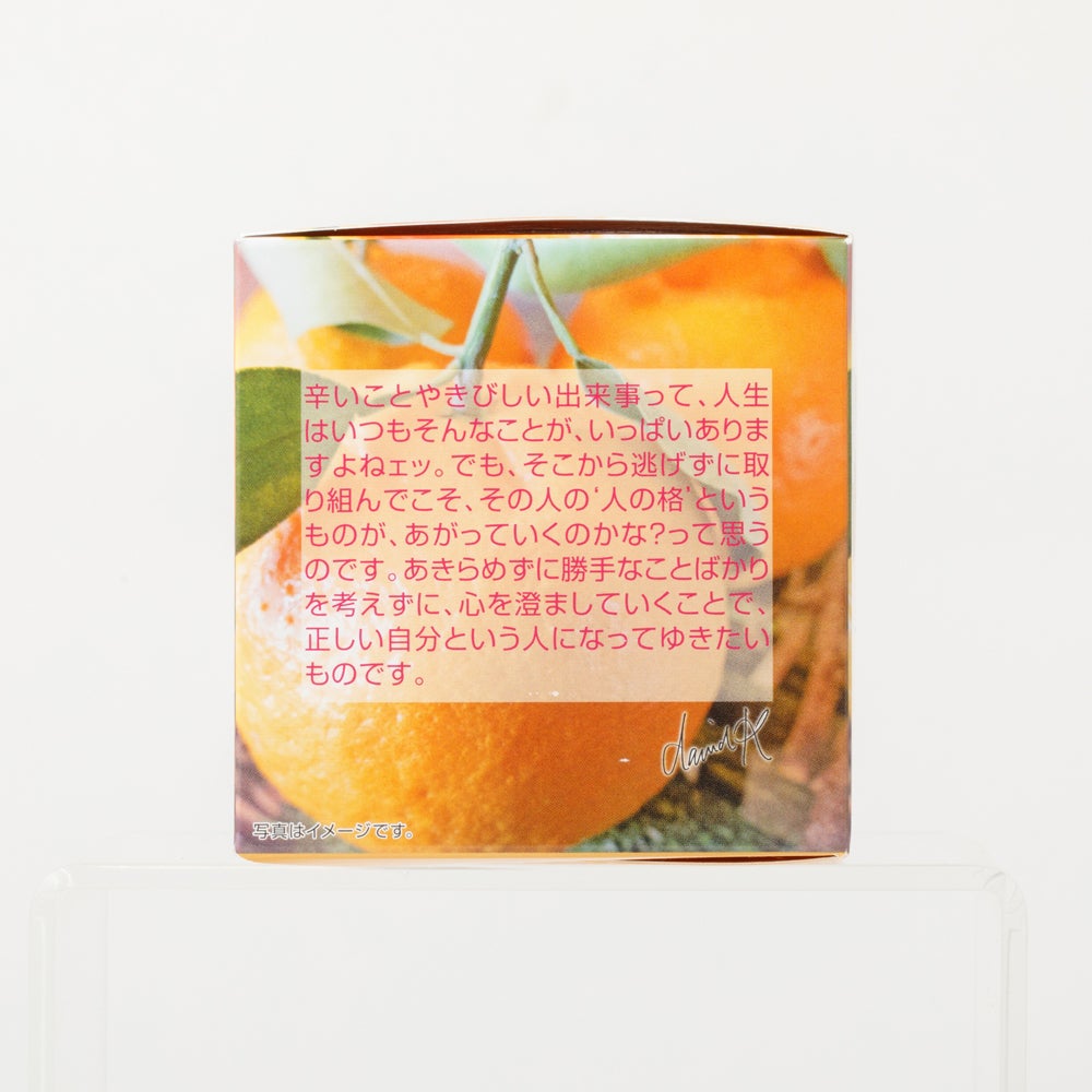 Lakshimi（ラクシュミー） 極上はちみつ紅茶Tasting3 12袋（レター