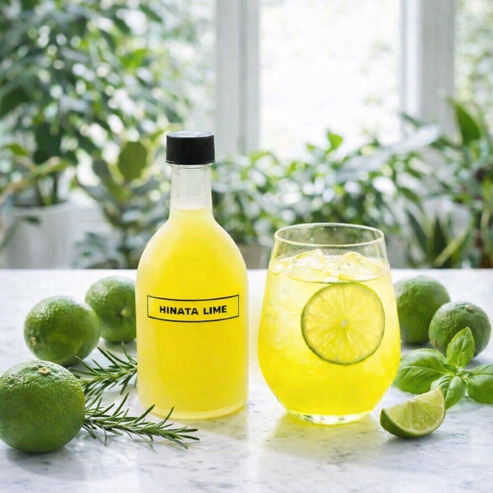 HINATA LIMEシロップ 300mL | Aming アミング公式オンラインショップ