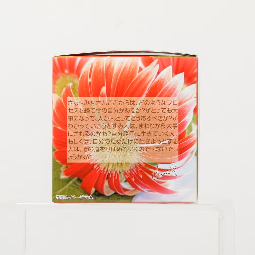 MLESNA TEA（ムレスナティー）INDIVI 王妃様の宝石箱 ティーカップ